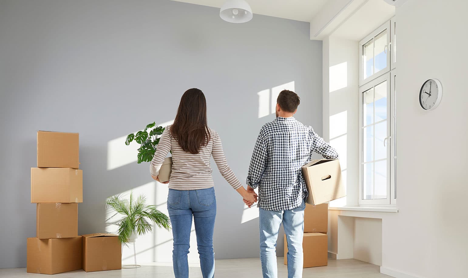 <strong>Tenants Guide</strong>